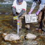 あまご発眼卵放流