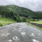 令和７年度あゆ遊漁証を各取扱所へ発送