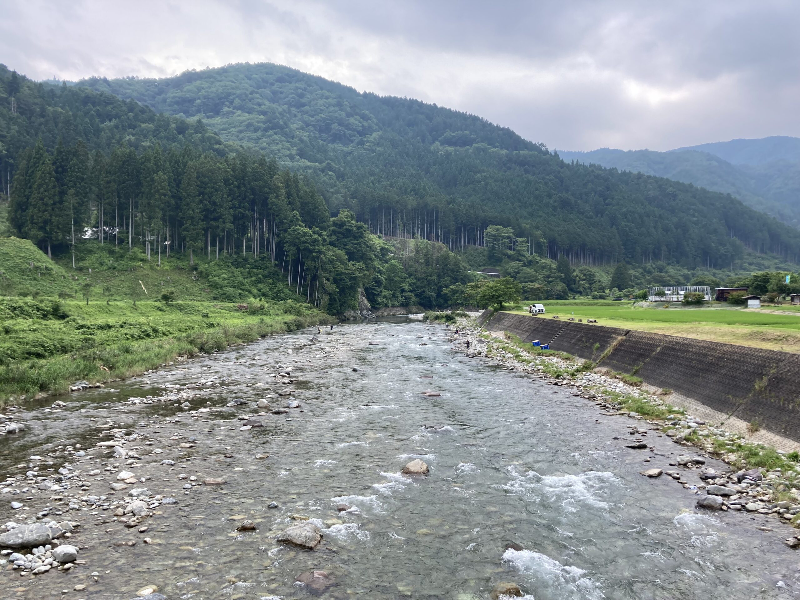 投稿についてもっと詳しく 2025年7月6日馬瀬川上流鮎釣り大会開催