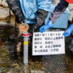 あまご発眼卵放流