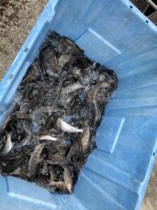 投稿についてもっと詳しく 解禁前日２月２７日