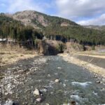 豊年橋付近あまご成魚７０㎏放流