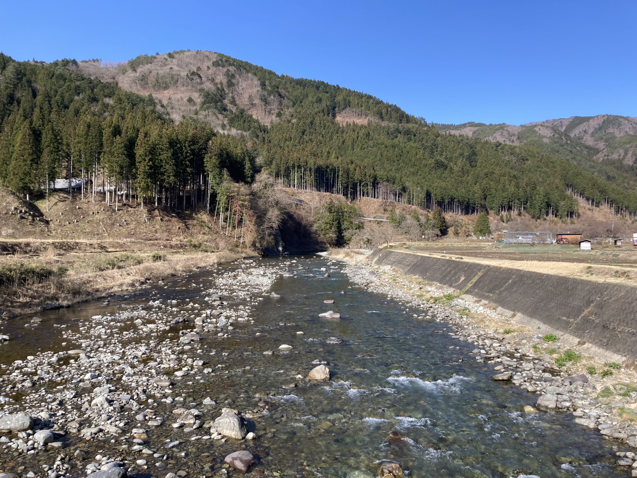 あなたが現在見ているのは 豊年橋付近あまご成魚７０㎏放流