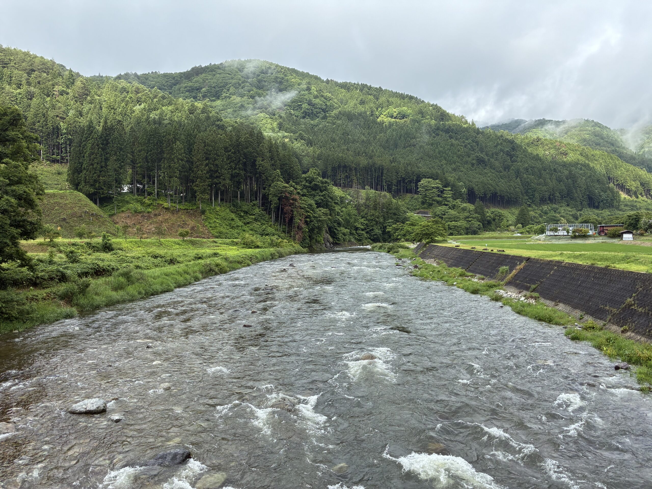 あなたが現在見ているのは 恵みの雨　増水しました。