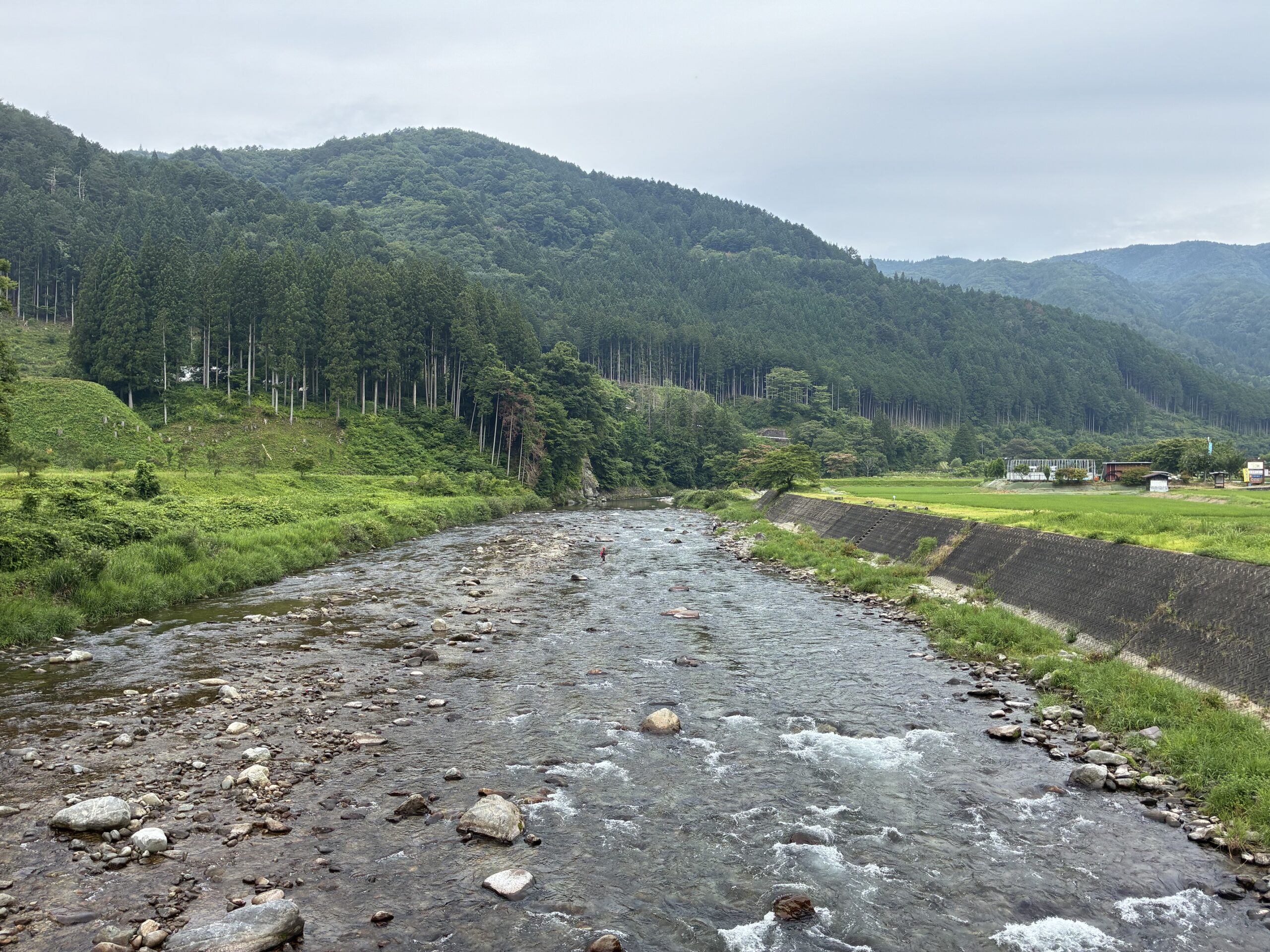 あなたが現在見ているのは 鮎買取　７月１３日から一時停止